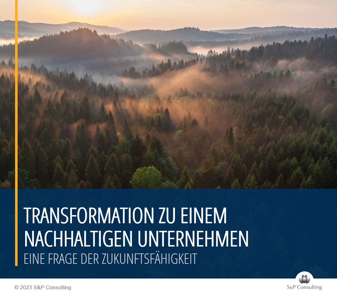 White Paper: organisationale Nachhaltigkeit White Paper: organisationale Nachhaltigkeit