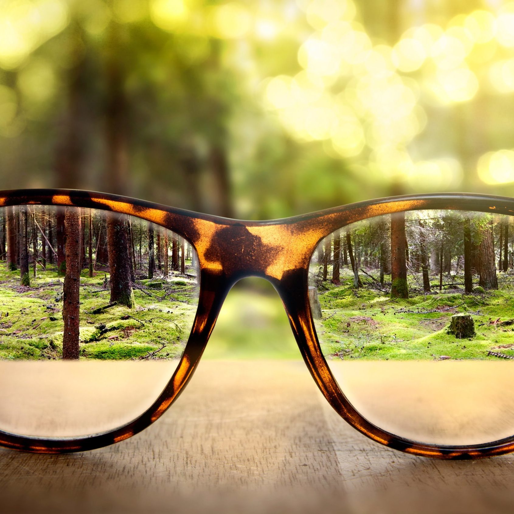 Systemtheorie in der Praxis - Blick auf die Brille