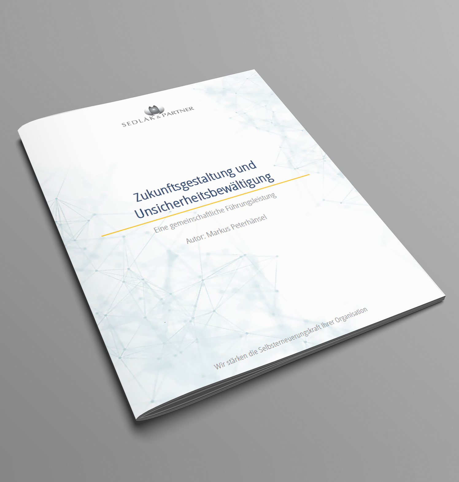 Systemische Strategieberatung Systemische Strategieberatung