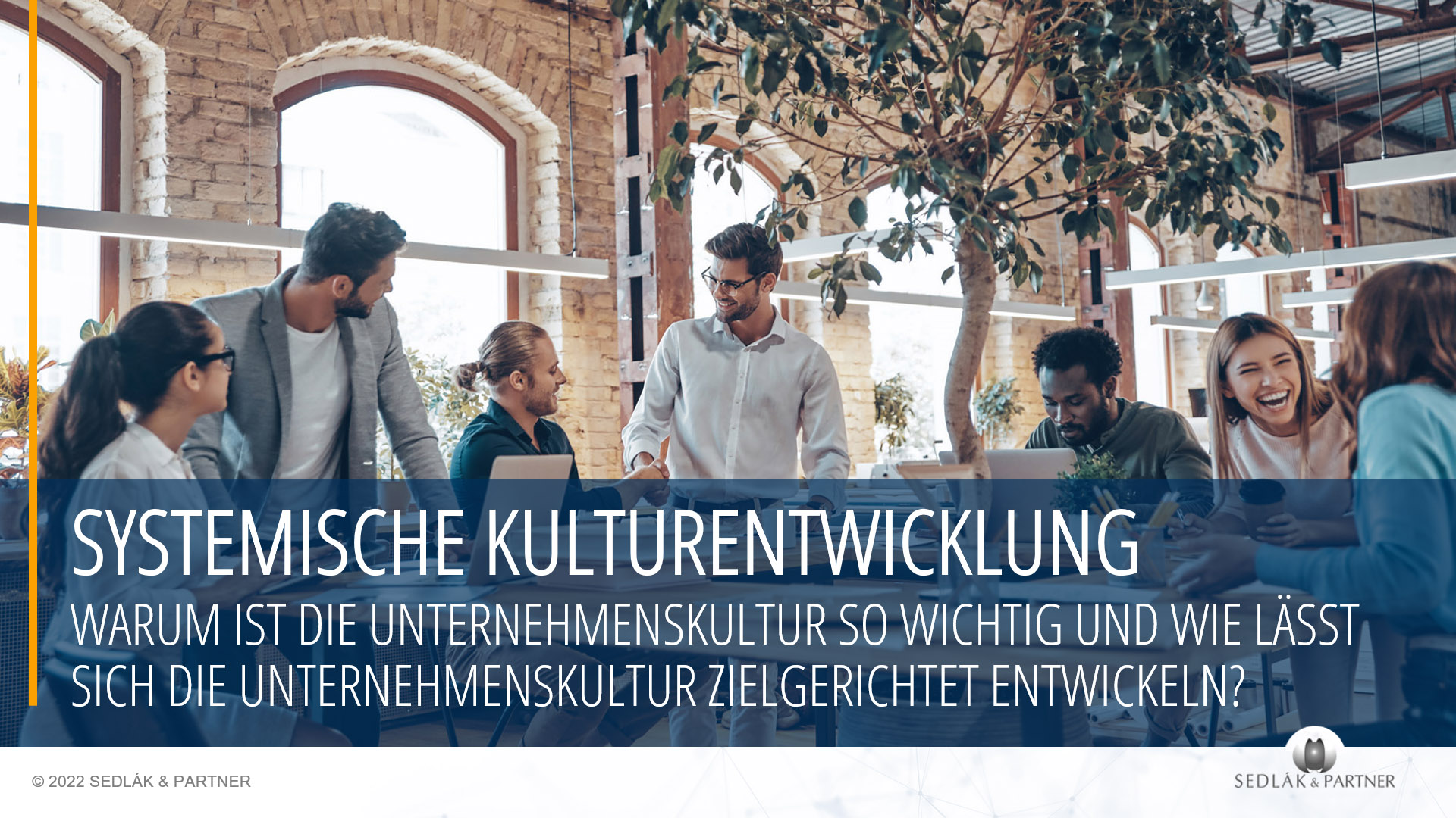 Erfolgsfaktoren Kulturentwicklung