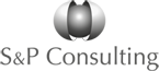 S&P Consulting SE