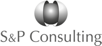 S&P Consulting SE