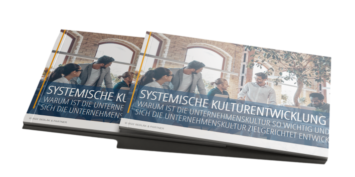 White Paper: Systemische Kulturentwicklung